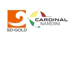 Cardinal Namdini